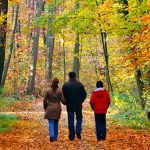 Fall walk active living