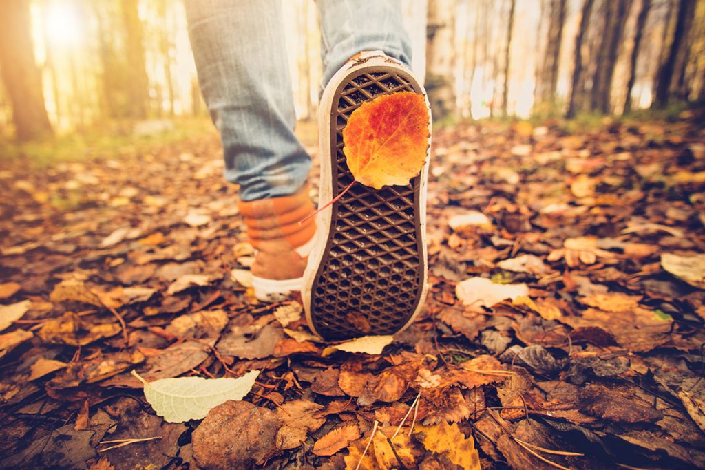 fall fitness 7 tips for staying active
